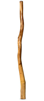 Peter Sherwood Didgeridoo (NV119)